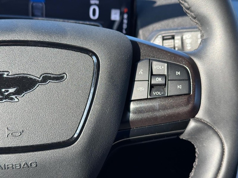Ford Mustang Mach-E Vehicle Full-screen Gallery Image 22