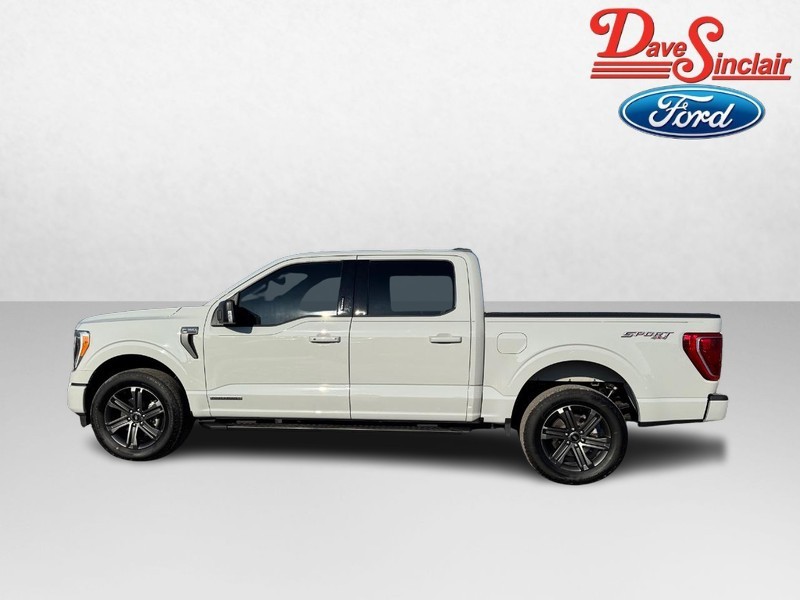 Ford F-150 Vehicle Full-screen Gallery Image 10