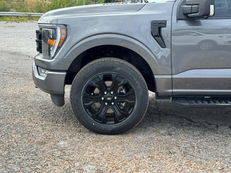 Ford F-150 Vehicle Full-screen Gallery Image 11
