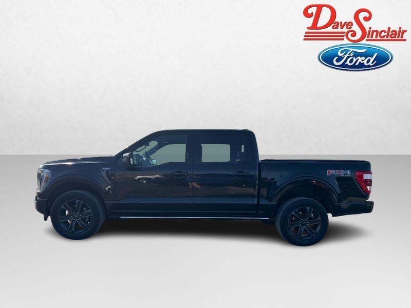 Ford F-150 Vehicle Full-screen Gallery Image 10