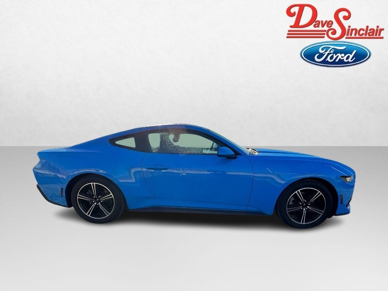 Ford Mustang Vehicle Full-screen Gallery Image 05