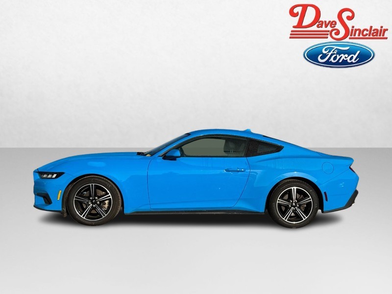 Ford Mustang Vehicle Full-screen Gallery Image 10