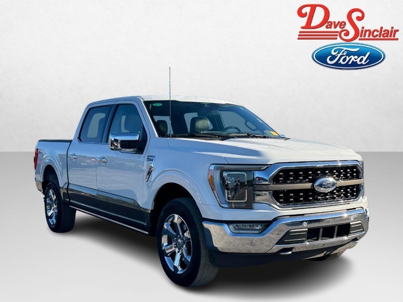 Ford F-150 Vehicle Full-screen Gallery Image 04