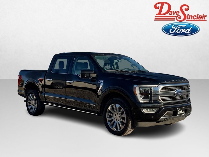 Ford F-150 Vehicle Full-screen Gallery Image 04