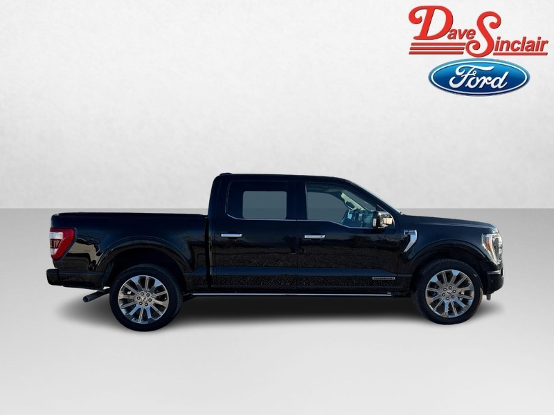 Ford F-150 Vehicle Full-screen Gallery Image 05