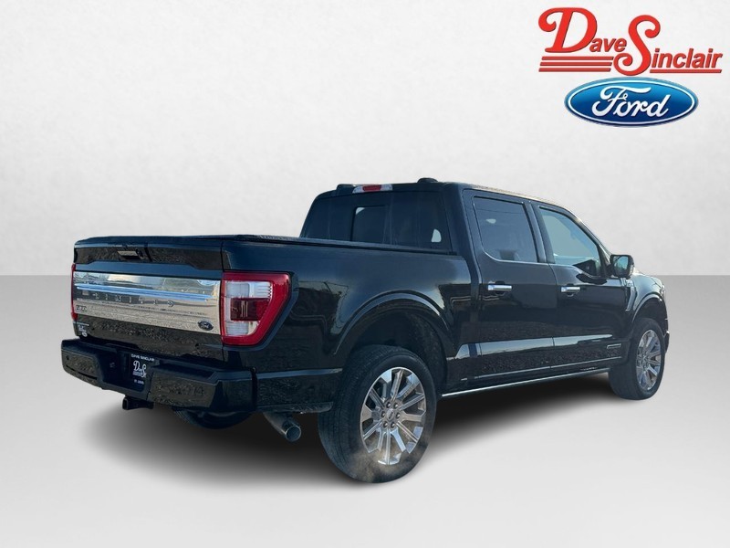 Ford F-150 Vehicle Full-screen Gallery Image 07