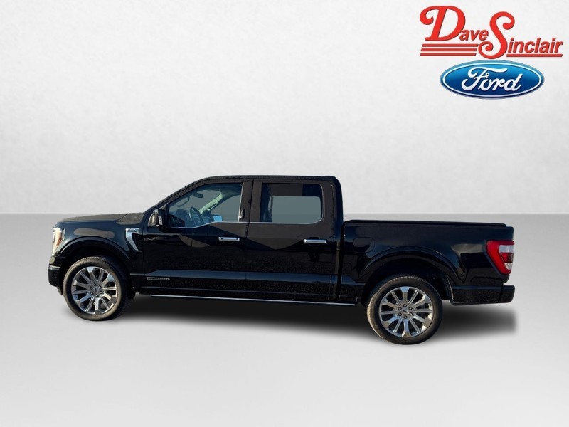 Ford F-150 Vehicle Full-screen Gallery Image 10