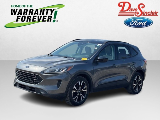 St. Louis MO 2022 Ford Escape more details - ford escape