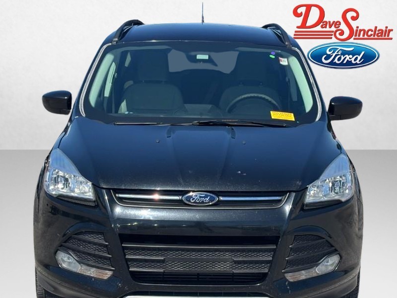 Used 2014 Ford Escape SE with VIN 1FMCU0G99EUB62775 for sale in St. Louis, MO