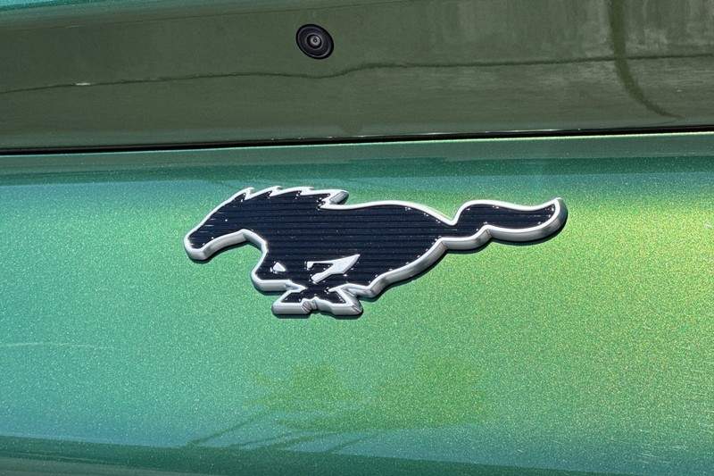 Ford Mustang Mach-E Vehicle Full-screen Gallery Image 28