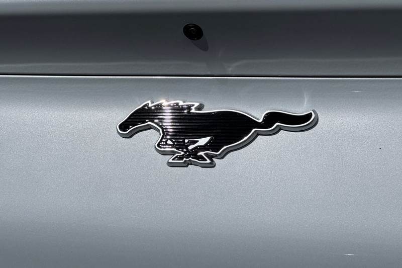 Ford Mustang Mach-E Vehicle Full-screen Gallery Image 29