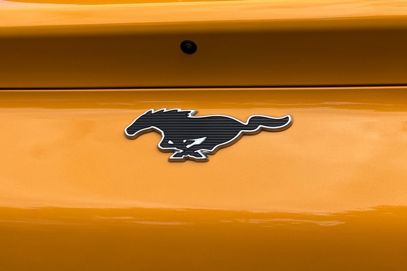 Ford Mustang Mach-E Vehicle Full-screen Gallery Image 29