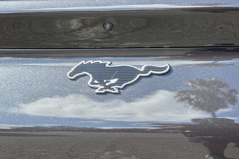 Ford Mustang Mach-E Vehicle Full-screen Gallery Image 29