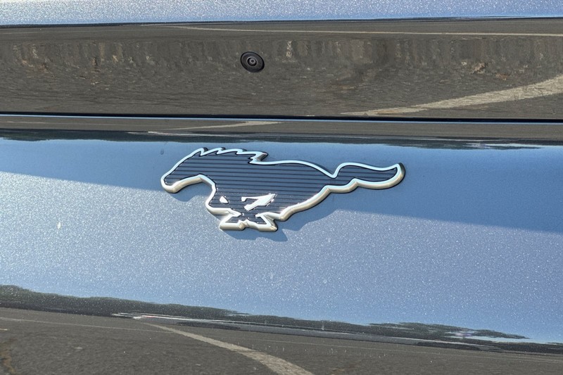 Ford Mustang Mach-E Vehicle Full-screen Gallery Image 29