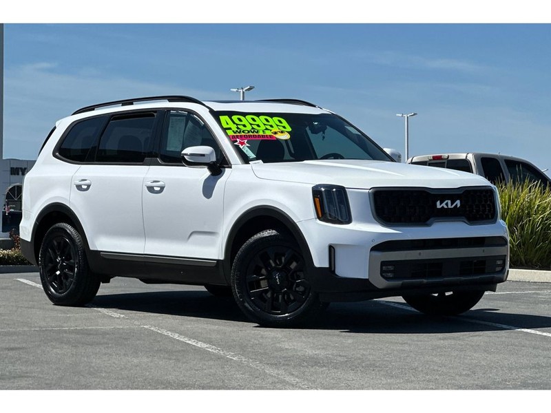 Kia Telluride Vehicle Full-screen Gallery Image 02