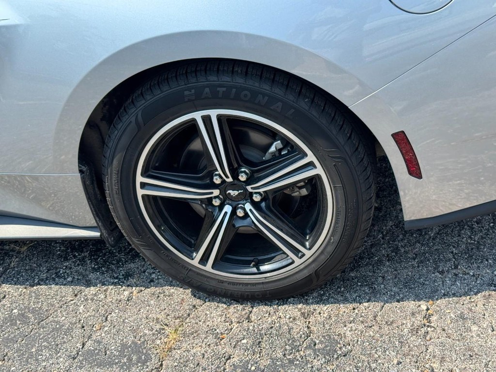 Ford Mustang Vehicle Full-screen Gallery Image 05