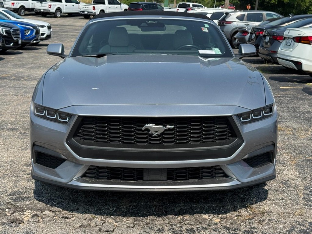 Ford Mustang Vehicle Full-screen Gallery Image 07