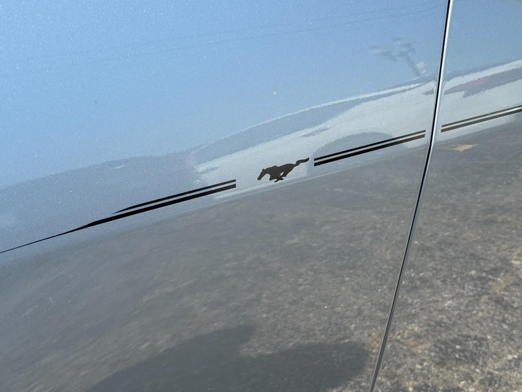 Ford Mustang Vehicle Full-screen Gallery Image 08