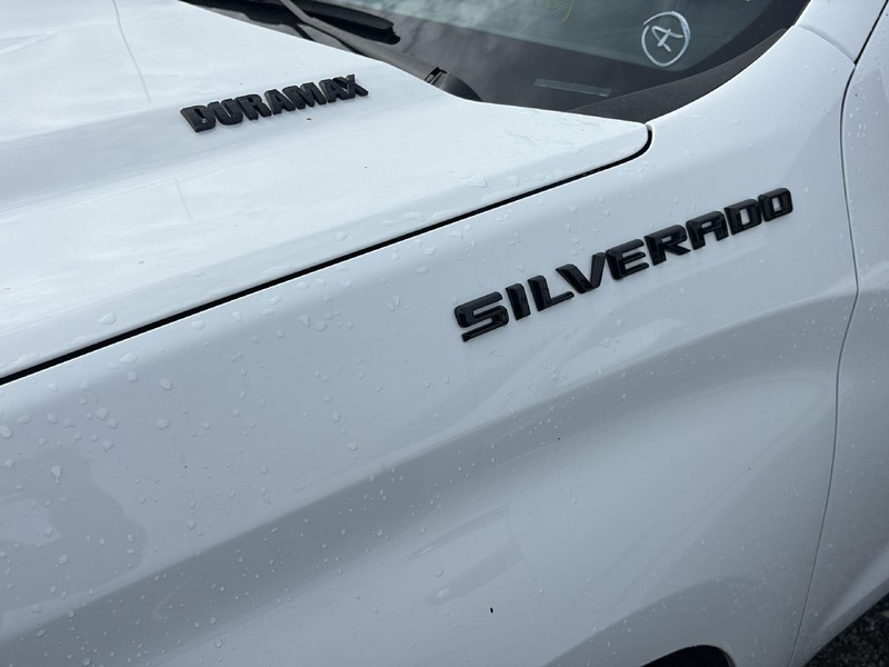 Chevrolet Silverado 1500 Vehicle Full-screen Gallery Image 28