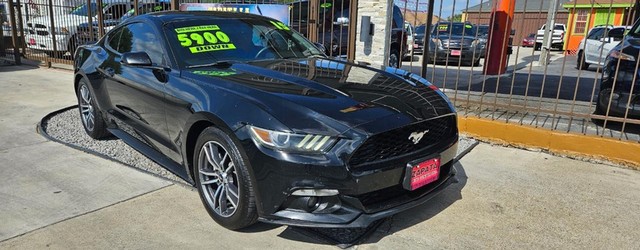 Ford Mustang 2dr Fastback EcoBoost - Laredo TX
