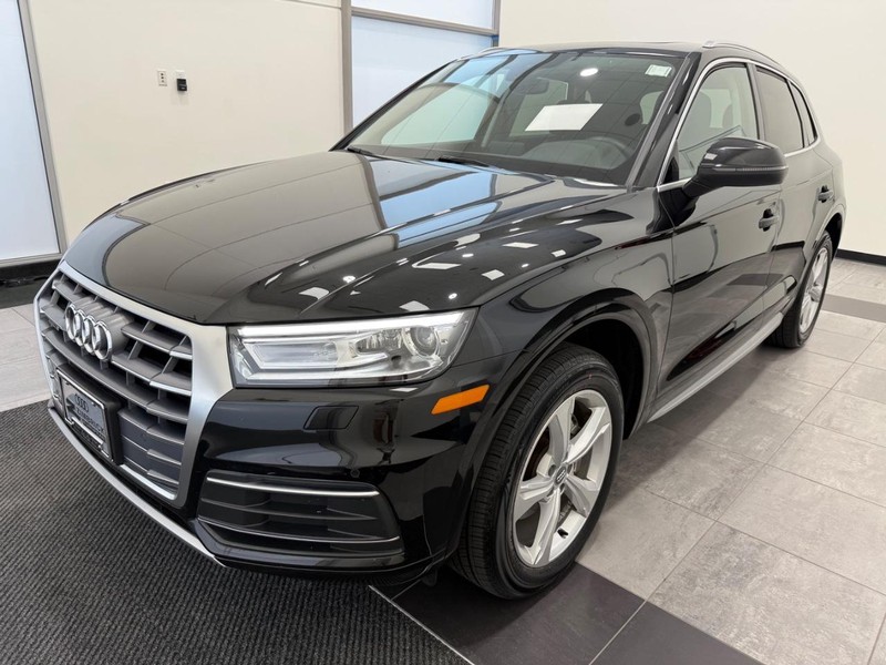 Audi Q5 Vehicle Image 6