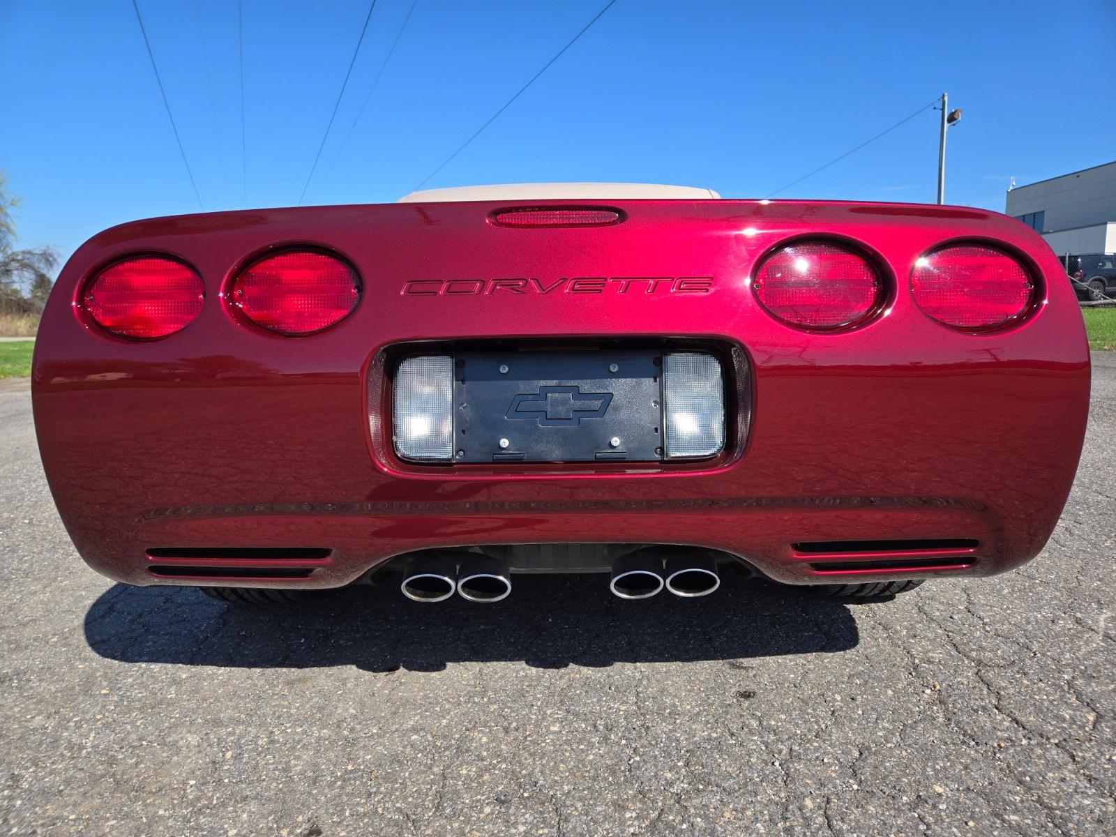 Vehicle Image 08