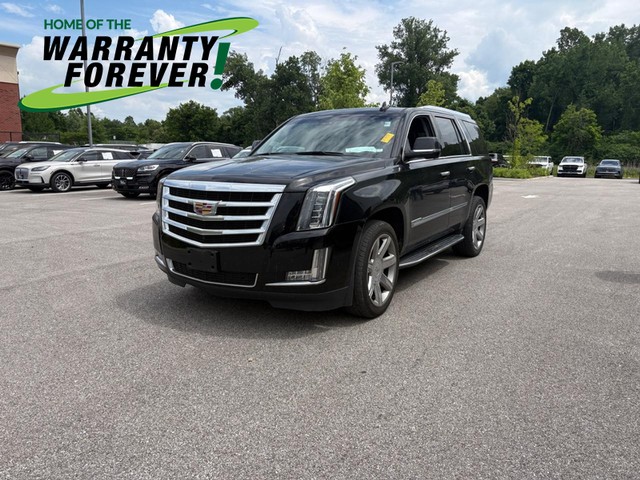 Ballwin MO 2019 Cadillac Escalade more details - cadillac escalade