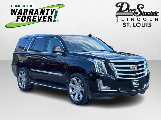 Ballwin MO 2019 Cadillac Escalade more details - cadillac escalade