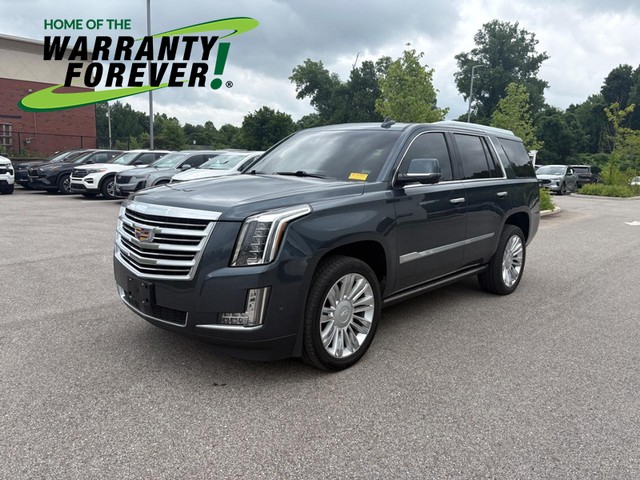 Ballwin MO 2019 Cadillac Escalade more details - cadillac escalade