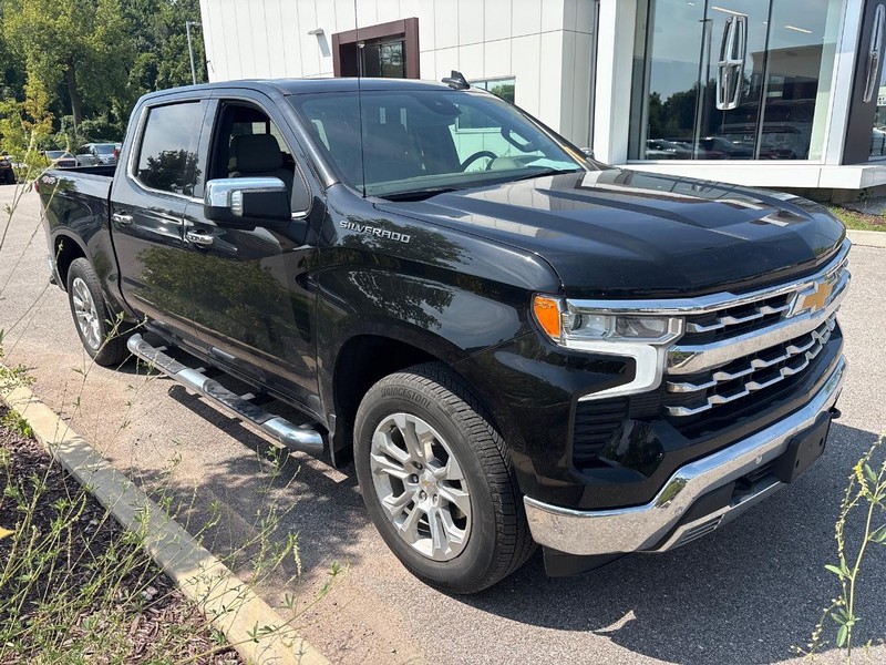 Chevrolet Silverado 1500 Vehicle Full-screen Gallery Image 04