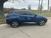 2019 Nissan Murano Platinum thumbnail image 05