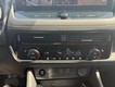 2025 Nissan Rogue Platinum thumbnail image 23
