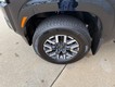 2024 Nissan Frontier SL thumbnail image 06