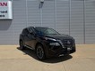 2024 Nissan Rogue Platinum thumbnail image 20