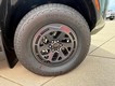 2025 Nissan Frontier PRO-4X thumbnail image 04