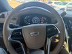 2018 Cadillac Escalade Platinum thumbnail image 11