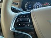 2018 Cadillac Escalade Platinum thumbnail image 12