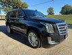 2018 Cadillac Escalade Platinum thumbnail image 32