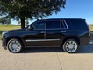 2018 Cadillac Escalade Platinum thumbnail image 36