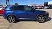 2023 Nissan Rogue Platinum thumbnail image 09