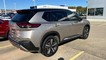 2021 Nissan Rogue Platinum thumbnail image 10