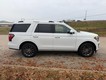 2021 Ford Expedition Limited thumbnail image 07