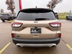 2020 Ford Escape SE thumbnail image 22