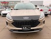 2020 Ford Escape SE thumbnail image 23