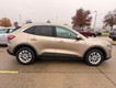 2020 Ford Escape SE thumbnail image 25