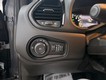 2022 Jeep Renegade 4WD Altitude thumbnail image 05