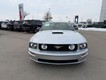 2007 Ford Mustang GT Premium thumbnail image 02