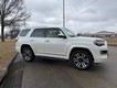 2023 Toyota 4Runner Limited thumbnail image 06