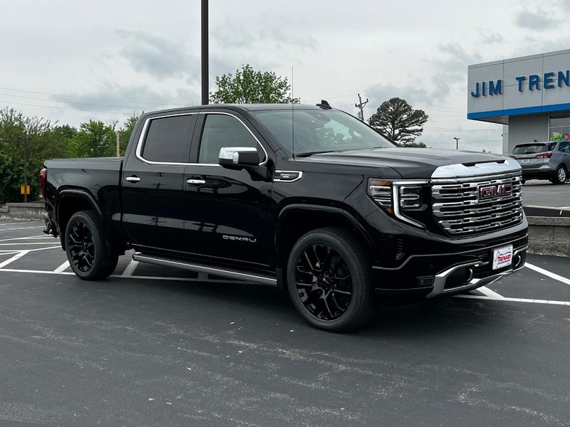 GMC Sierra 1500 Vehicle Image 02