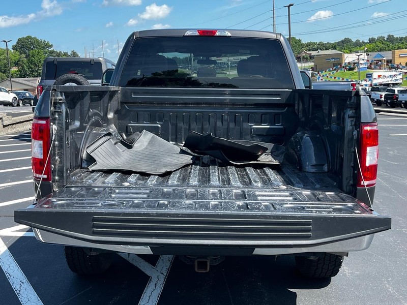 Ford F-150 Vehicle Image 05